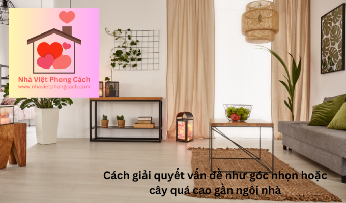 Cách giải quyết vấn đề như góc nhọn hoặc cây quá cao gần ngôi nhà